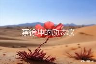 蔡徐坤的励志歌