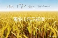 黄龄山东卫视痒