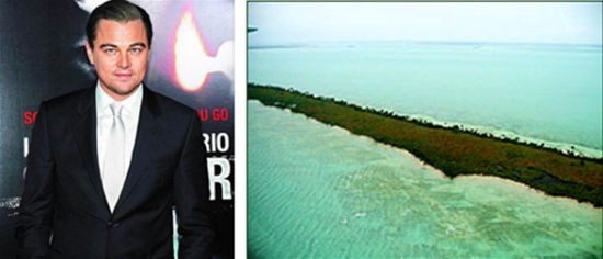 “万人迷”的私享小岛