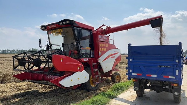 邓州市商务局：优化夏收好环境 网红达人助农忙