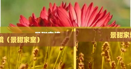 景甜家境（景甜家室）