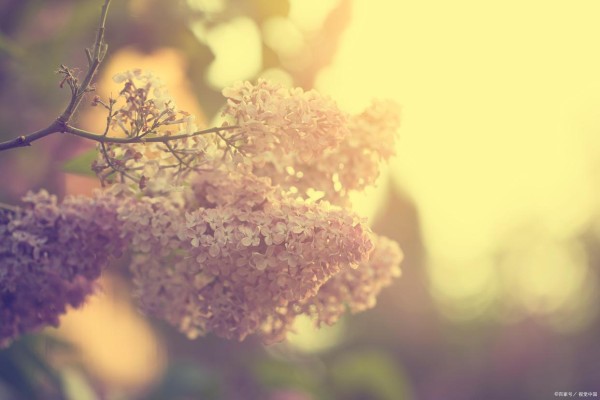 喜欢高调秀恩爱的三个星座女！