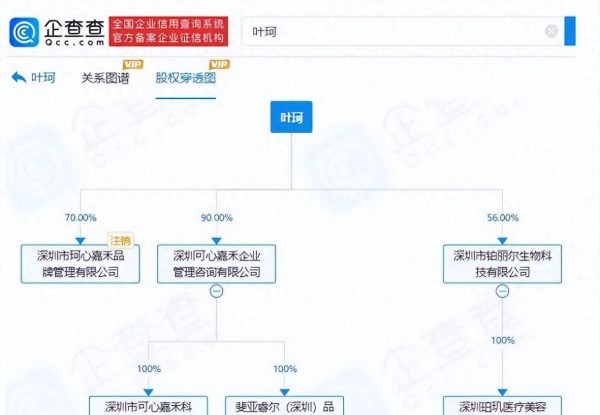 叶珂商业版图曝光：娱乐圈的权力游戏与新风潮