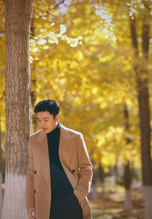 贾乃亮逆龄魅力：从演技到时尚的全方位解析