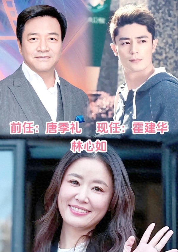 基于择偶标准和内心探索：女艺人们的情感旅程