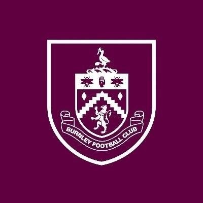 卫报：伯恩利英冠过强英超乏力，预计新赛季排名倒数第一