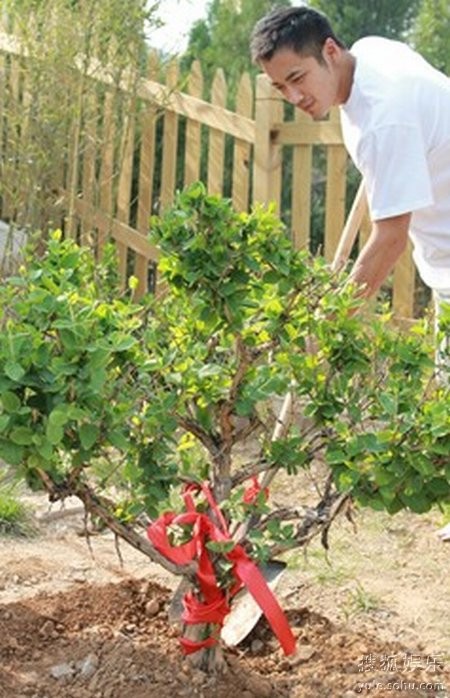 影视演员薛皓文