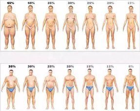 明星如何调体型的软件有哪些，明星体重管理方式