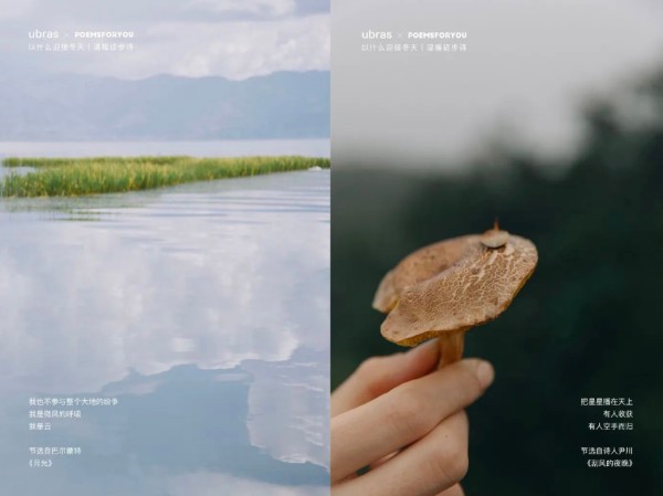 品牌扎堆过生日，周年庆营销怎么玩？