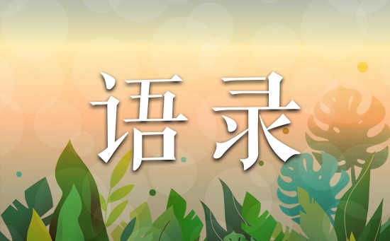 对电视主持人评语