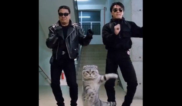 AI视频大量传播！周星驰经纪人质疑：平台不管吗？