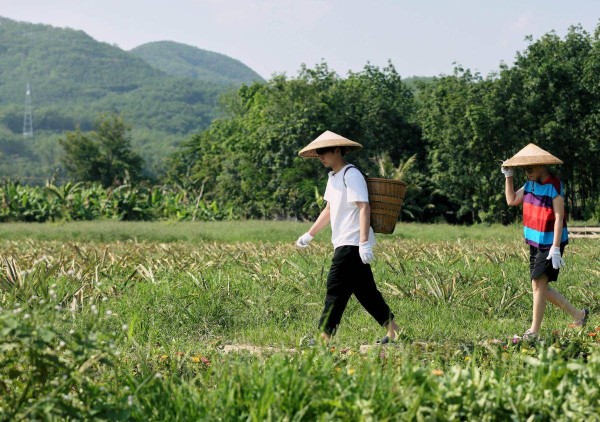 明星都怎么辅导孩子作业？陈宥维花式解题，“心理拉锯“能力强悍