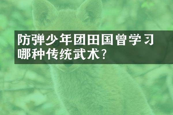 防弹少年团田柾国曾学习哪种传统武术？