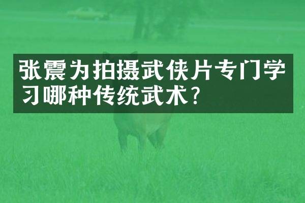张震为拍摄武侠片专门学习哪种传统武术？