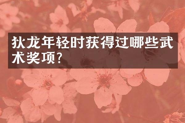 狄龙年轻时获得过哪些武术奖项？