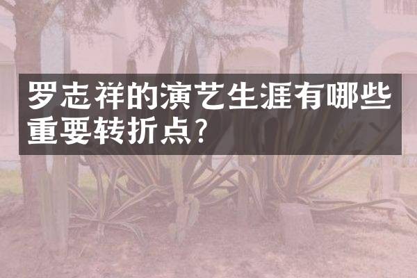 罗志祥的演艺生涯有哪些重要转折点？