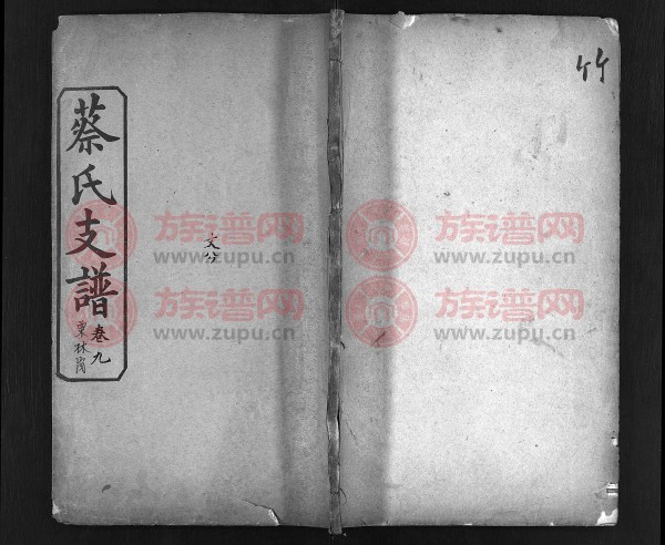 蔡小翠个人主页