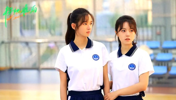 当下热播剧集热度解析与剧情点评