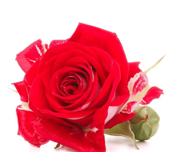 浪漫十二星座的情侣配对，来找找你的真爱，看看你的真爱有他吗