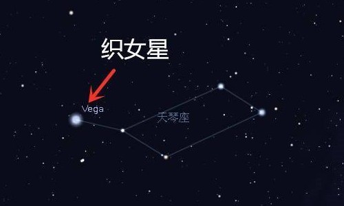 织女星属于哪个星座？揭秘夜空中最亮的爱情星.jpg