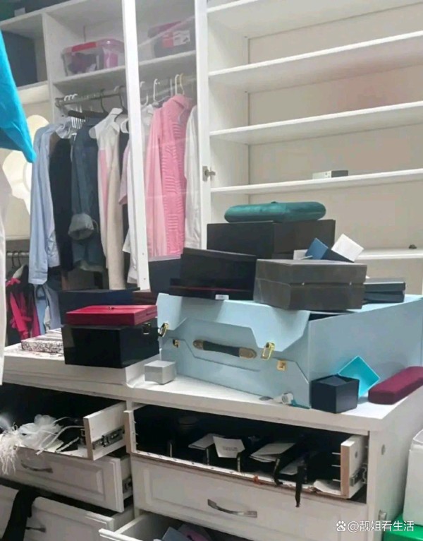 突发！女星刘雨欣美国豪宅被偷空，保险箱被炸开，几十年家当没了