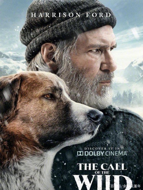 关于成长与转型的主题电影《野性的呼唤》