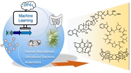 岳建民院士团队展望：天然产物研究前沿与研究范式转变