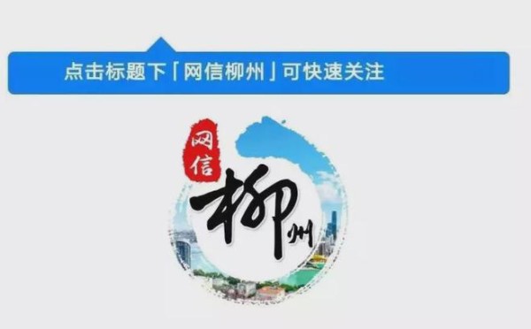 网信说法丨明星的航班信息竟唾手可得？航空公司客服成泄露源头……