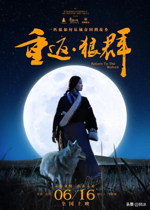 《重返·狼群》票房破4000万!一部纪录片凭什么在春节档逆袭