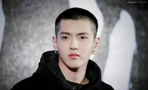 吃瓜娱乐圈大燕子,大燕子吃瓜记