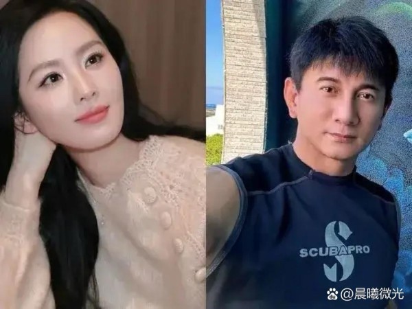 刘诗诗和吴奇隆又被传离婚 他们一...@晨曦微光的动态