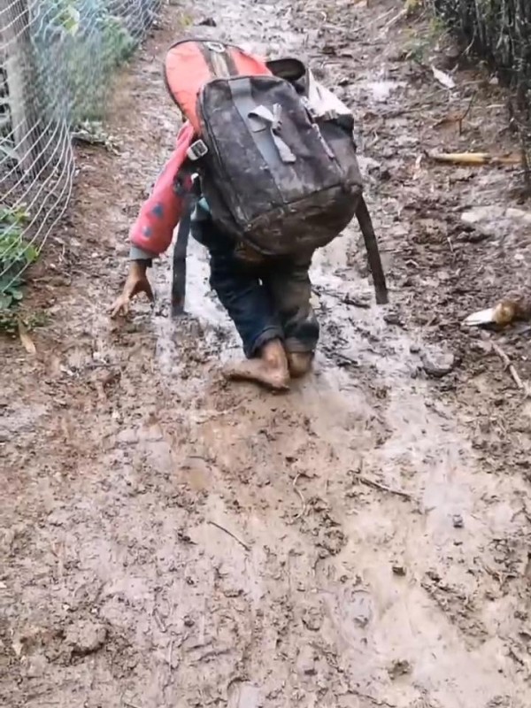 明星公益翻车现场：赵露思蓝盈莹翻车，杨紫胡歌凭啥赢回好感？