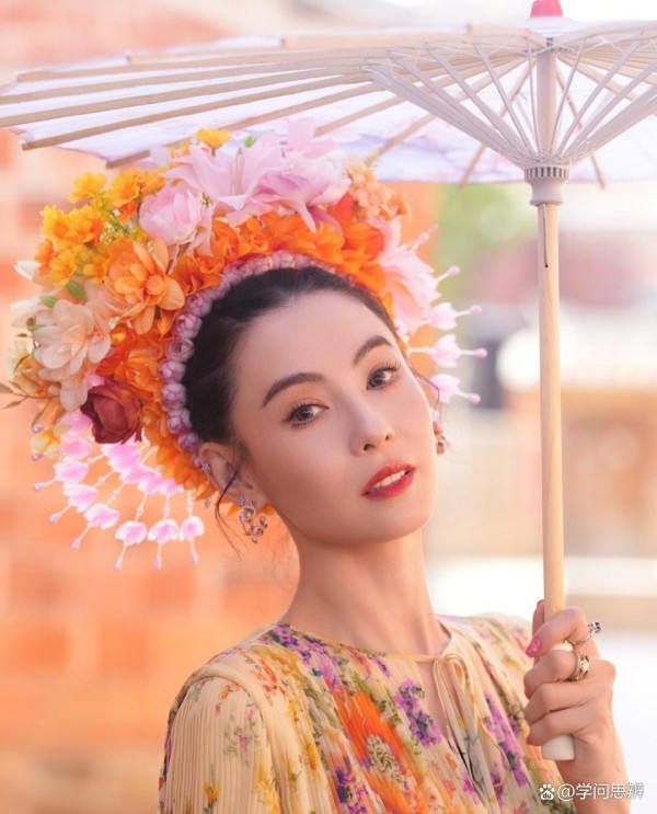 张柏芝草原捡垃圾:明星光环不如弯腰行动,环保细节让人更动容