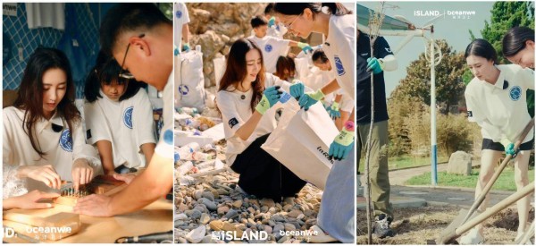 明星行动点亮海岸，公益力量扎根！田横岛生态保护焕新生之路