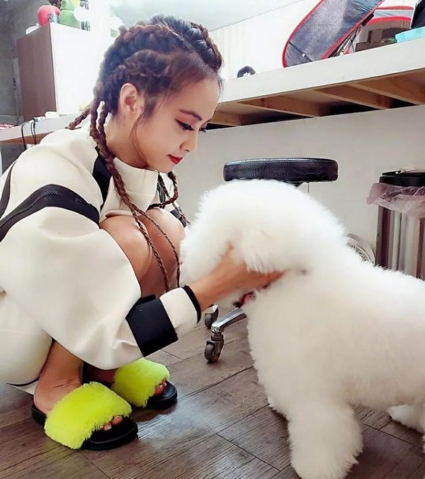 武汉疫情明星捐款情况曝光