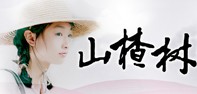 从性感到清纯 张艺谋“谋女郎”的选角变迁