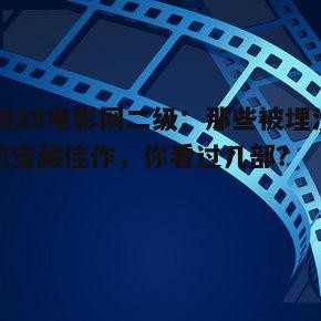 2828电影网二级：那些被埋没的宝藏佳作，你看过几部？