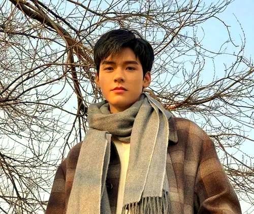 娱乐圈明星动态：龚俊挑战、鹿晗饮酒及白鹿发展