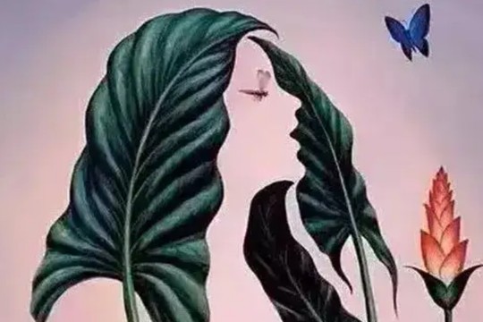 测试你成为明星的几率