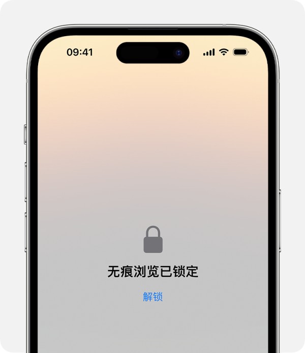 iPhone 上 Safari 浏览器中锁定的无痕浏览窗口。