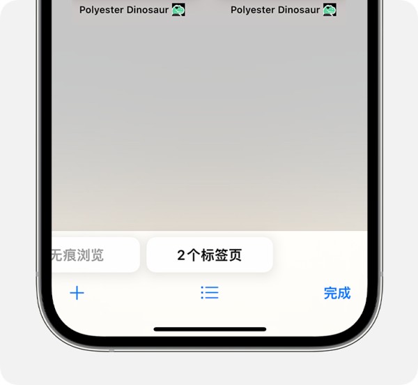 iPhone 显示了 Safari 浏览器 App，其中已选择“标签页”标签页组。