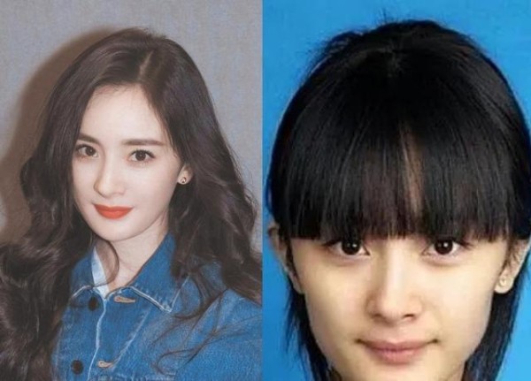 当红女明星证件照对比,一眼就被刘亦菲吸引,张柏芝是真优越