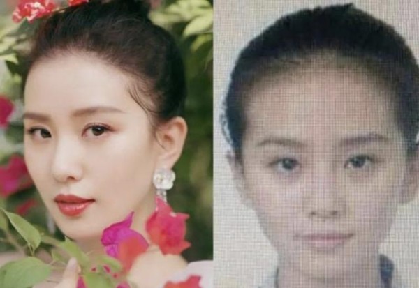 当红女明星证件照对比,一眼就被刘亦菲吸引,张柏芝是真优越