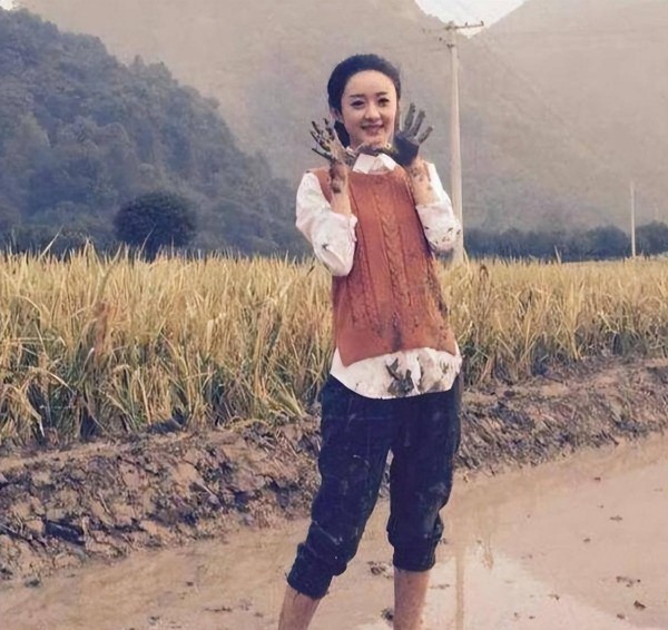 毛不易赵丽颖：草根明星如何用“生活感”对抗娱乐圈资源咖？