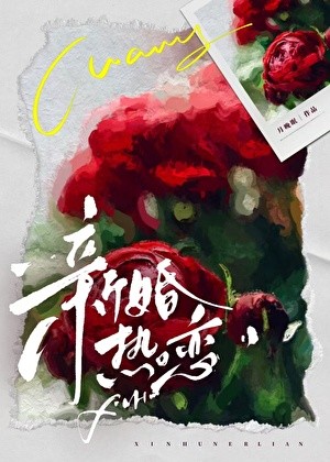 《新婚热恋[先婚后爱]》月晚眠