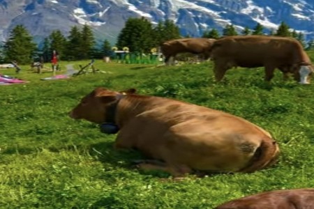 2026年新颖大气的小孩名字,名字要独特不要使用网红名