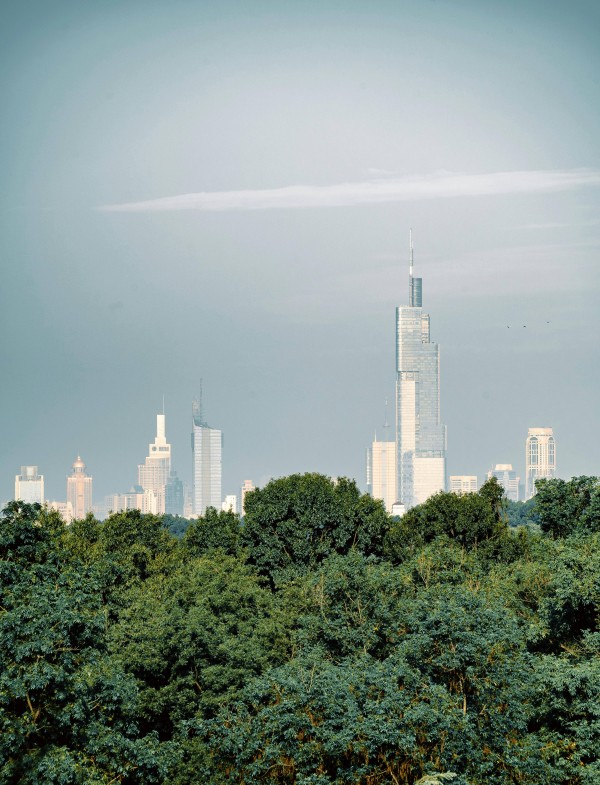 揭秘多位明星近况：热巴、王鹤棣等八卦全收录！