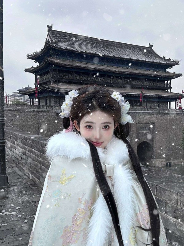 西安下鸡娃子雪!明星晒照刷屏,本地人:活久见的童话世界!