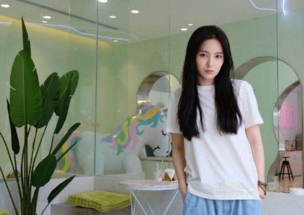 委员认为明星后援会应依法登记,明星后援会是否应该加强管理?