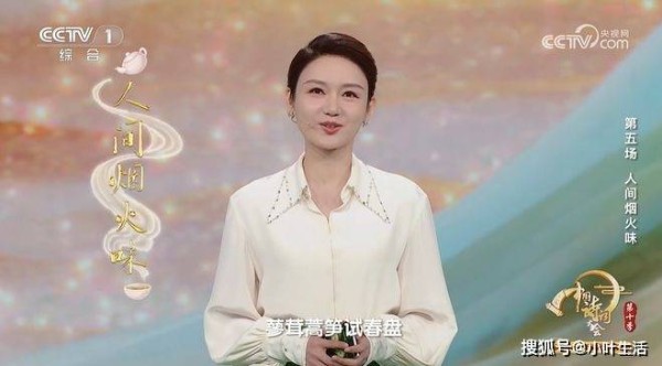 龙洋:刚主持完2026春晚又主持诗词大会,沉稳大气越来越有一姐范